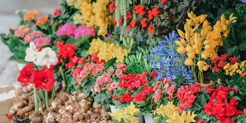 Flower Mart is one of the oldest festivals to attend in the spring in Baltimore.