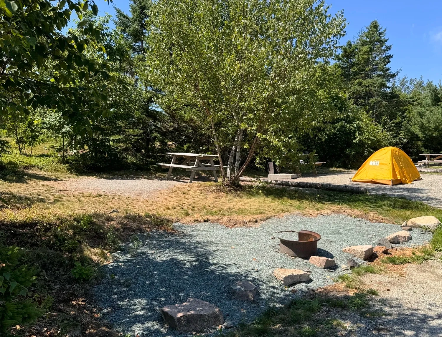 Scenic tent camping sites at Acadia National Park campground with wooded mountain backdrop