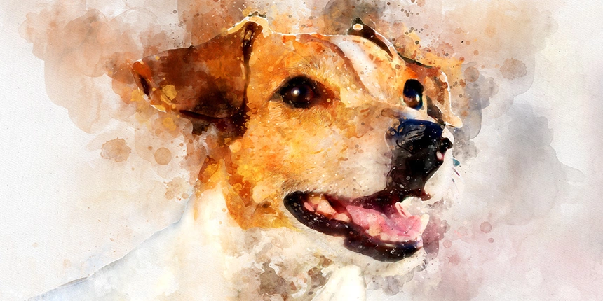 Texas Hill Country has great things to do for kids in the spring including painting a portrait of your pet.