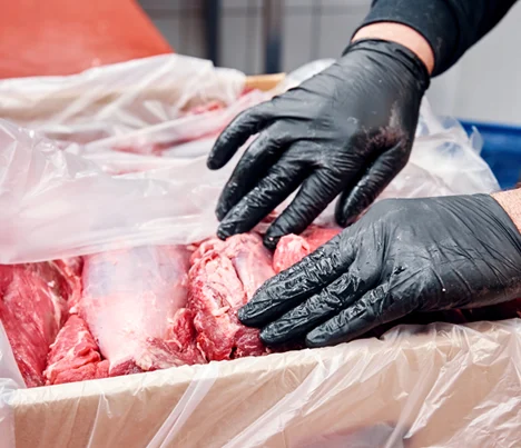 Image_Products_food-production food production facility with a temperature monitoring system