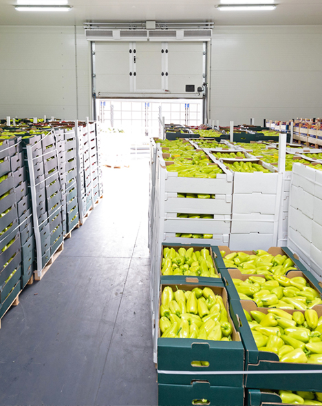 Image_What_food-storage food storage facility with a temperature monitoring system