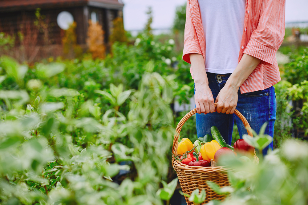 3 Environmental Benefits Of Farming You Didnt Realize