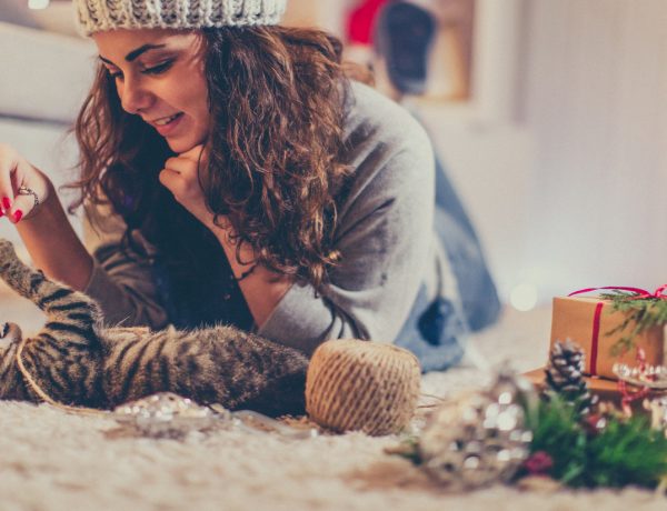 Purr-fectly Wonderful Holiday Gifts for Cat Lovers