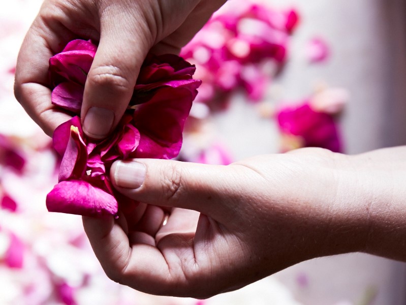 How this Small-Batch Beauty Guru Turns Petals to Potions