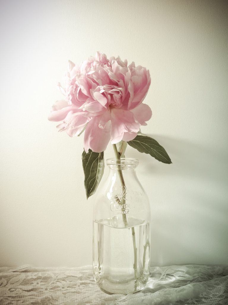 7 Super Clever Repurposed Flower Vases for Summer Blooms