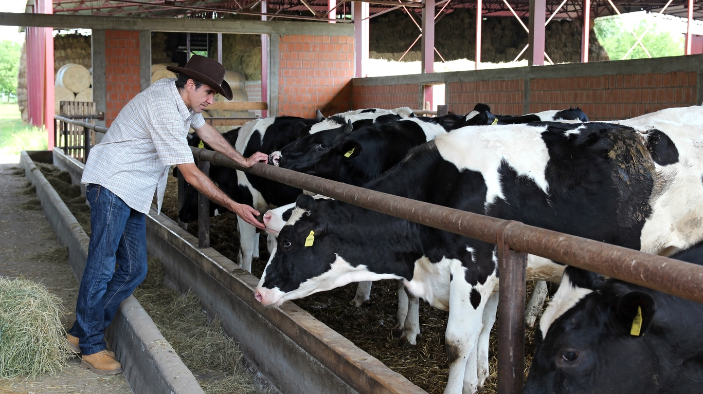 Are Prisons Creating the Next Generation of Cheesemakers?