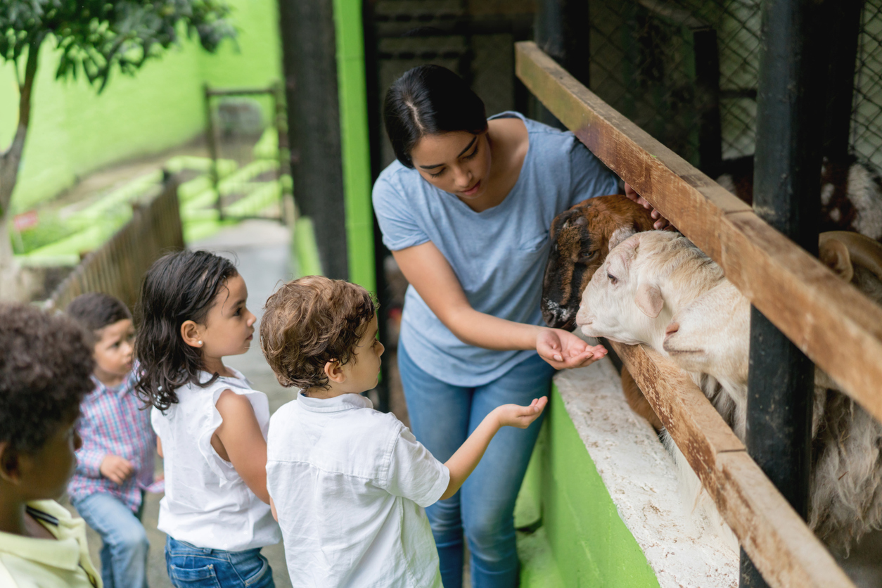 Why Animal Sanctuaries Matter