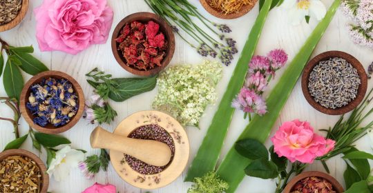 Is This Herbal Trio the Holy Grail of Natural Skincare?