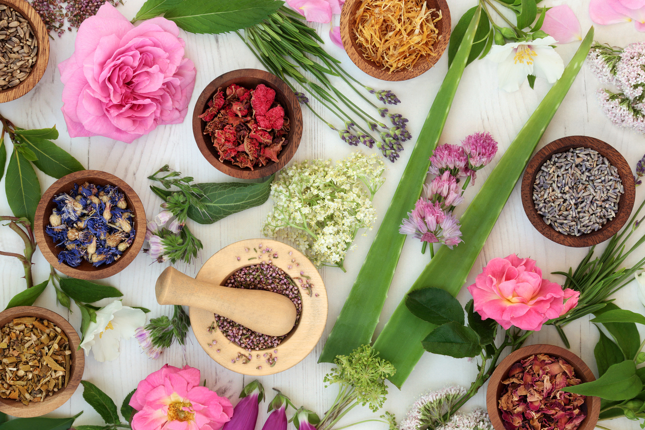 Is This Herbal Trio The Holy Grail Of Natural Skincare