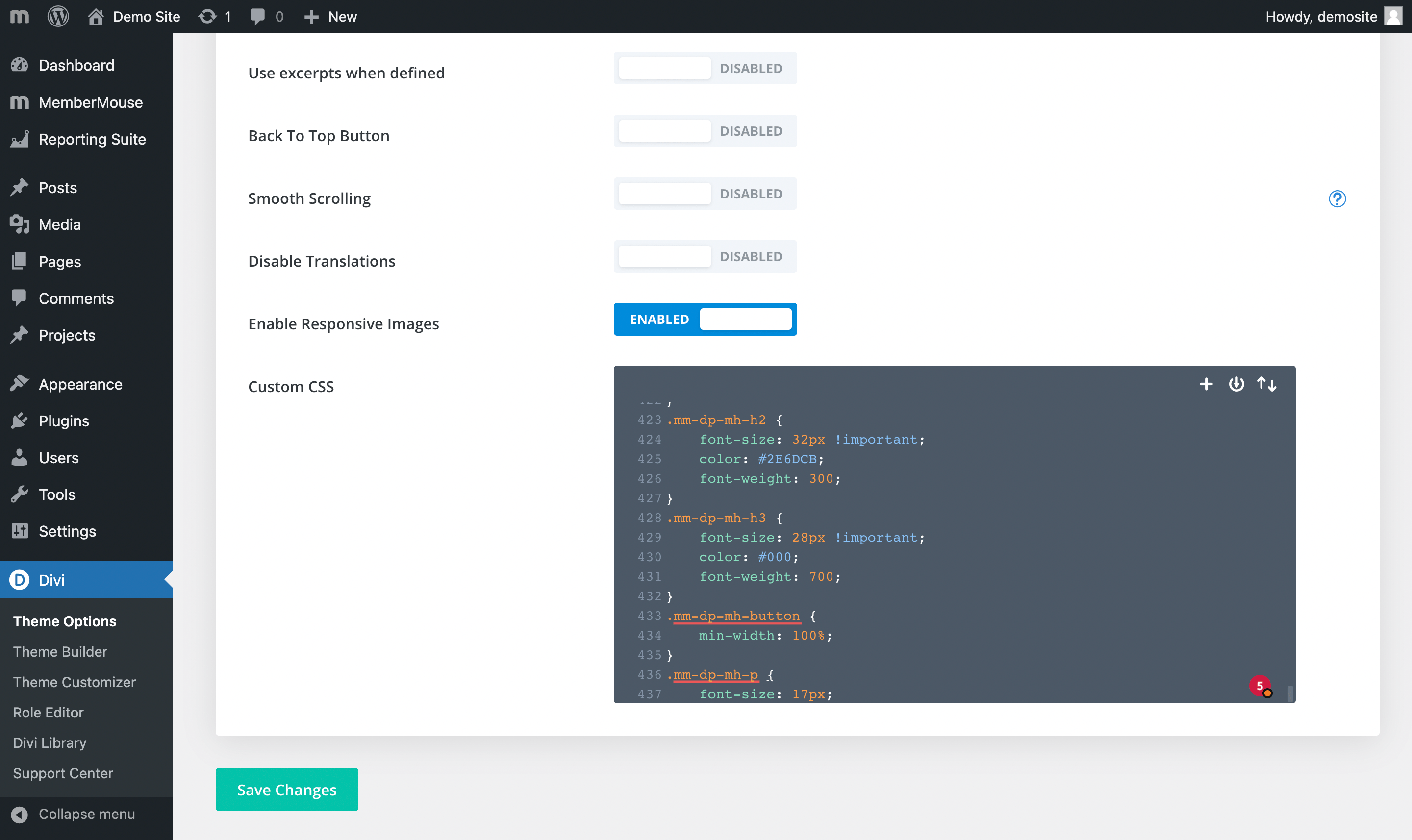 Paste Custome CSS into Divi theme options