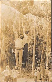The bound corpses of two Italian immigrants, Castenego Ficarrotta and Angelo Albano, handcuffed together, hanging in a Florida swamp. One with note affixed to feet, the other with pipe in mouth. September 9, 1910.