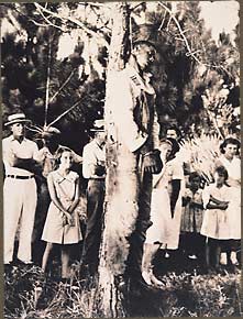 The lynching of Rubin Stacy. Onlookers, including four young girls.