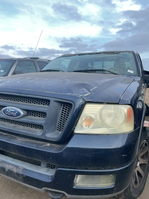 2004 FORD F-150