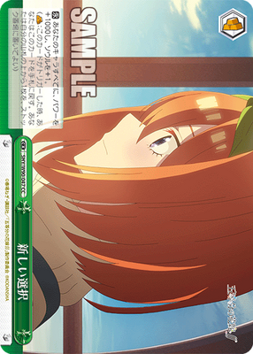 新しい選択