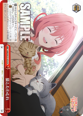 猫とたわむれ
