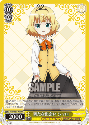 新たな出会い シャロ