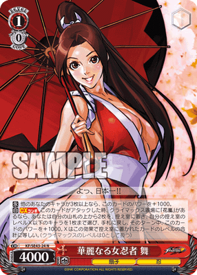 華麗なる女忍者 舞
