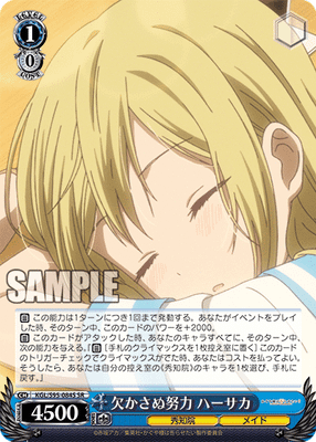 欠かさぬ努力 ハーサカ