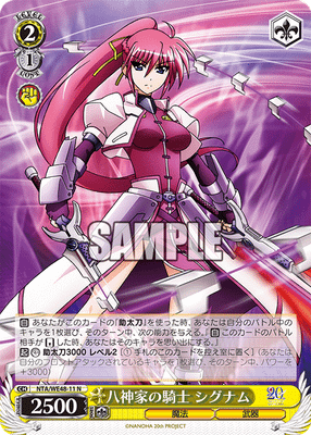 八神家の騎士 シグナム
