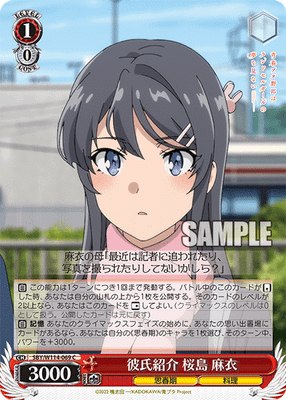 彼氏紹介 桜島 麻衣