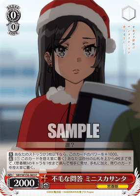 不毛な問答 ミニスカサンタ