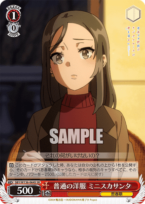 普通の洋服 ミニスカサンタ