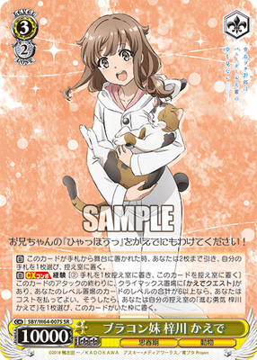 ブラコン妹 梓川 かえで