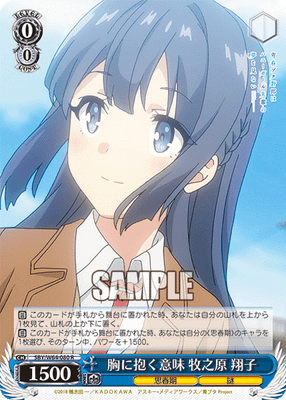 胸に抱く意味 牧之原 翔子