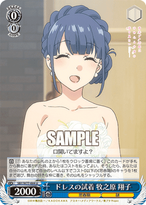 ドレスの試着 牧之原 翔子