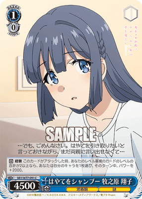 はやてをシャンプー 牧之原 翔子