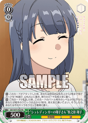 “シュレディンガーの翔子さん”牧之原 翔子