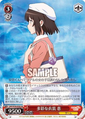 多彩な衣装 恵