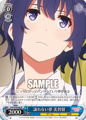 譲れない夢 美智留