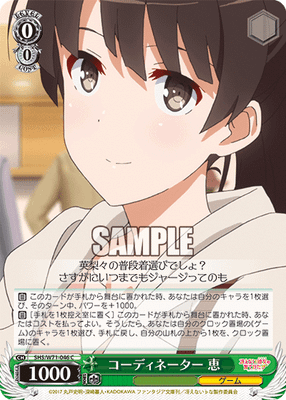 コーディネーター 恵