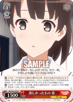 欲しかったもの 恵