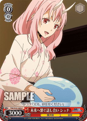 未来へ繋ぐ話し合い シュナ