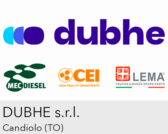Logo DUBHE s.r.l.