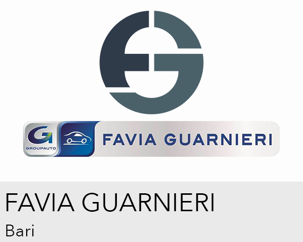 Logo FAVIA GUARNIERI s.r.l.