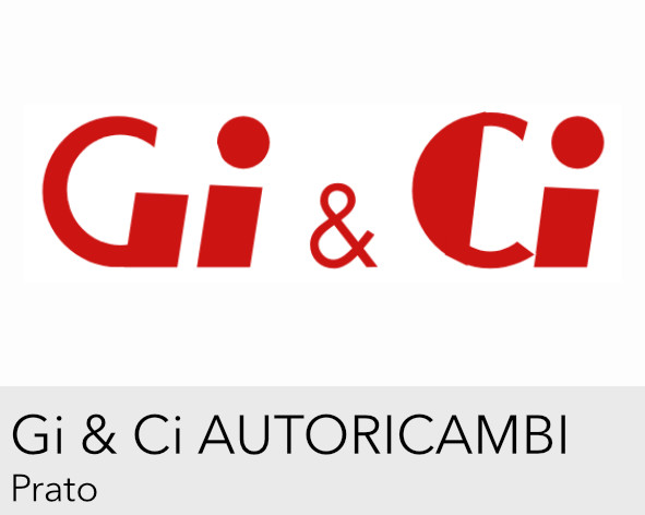 Logo GI & CI AUTORICAMBI s.r.l.