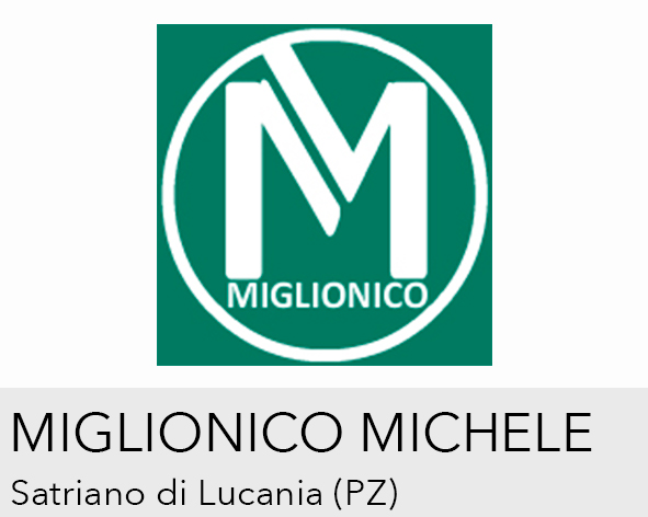 Logo MIGLIONICO MICHELE