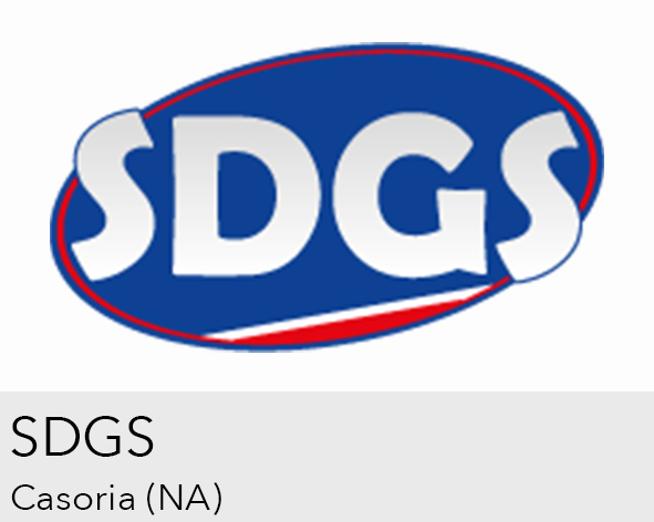 Logo S.D.G.S. s.r.l.