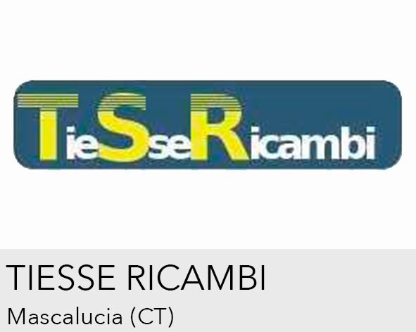 Logo TIESSE RICAMBI s.n.c.