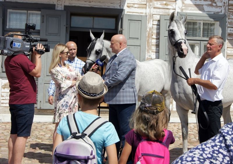 Środa z ambasadorem – Stadnina z Janowa Podlaskiego - Zdjęcie główne