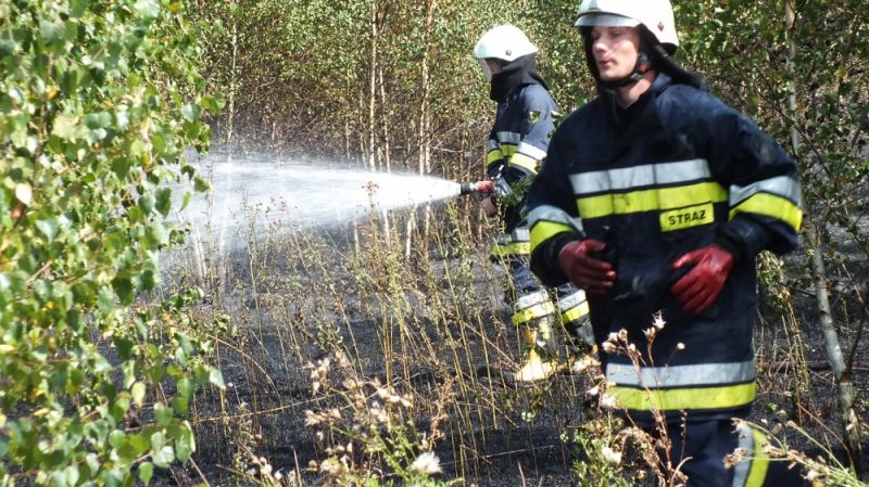 Świdry. Strażacy walczą z pożarem lasu - Zdjęcie główne