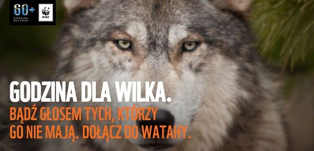 Godzina dla Ziemi. Lublin włącza się do akcji - Zdjęcie główne