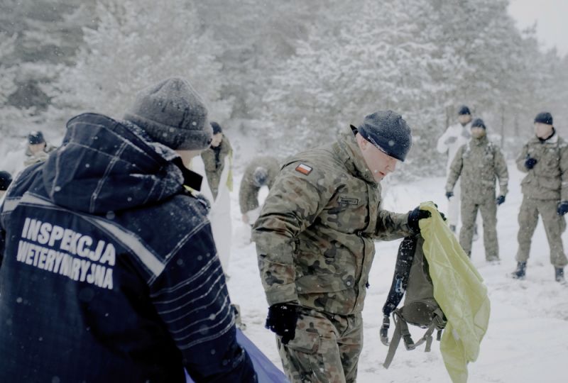 Trwa walka z wirusem ASF na Lubelszczyźnie - Zdjęcie główne