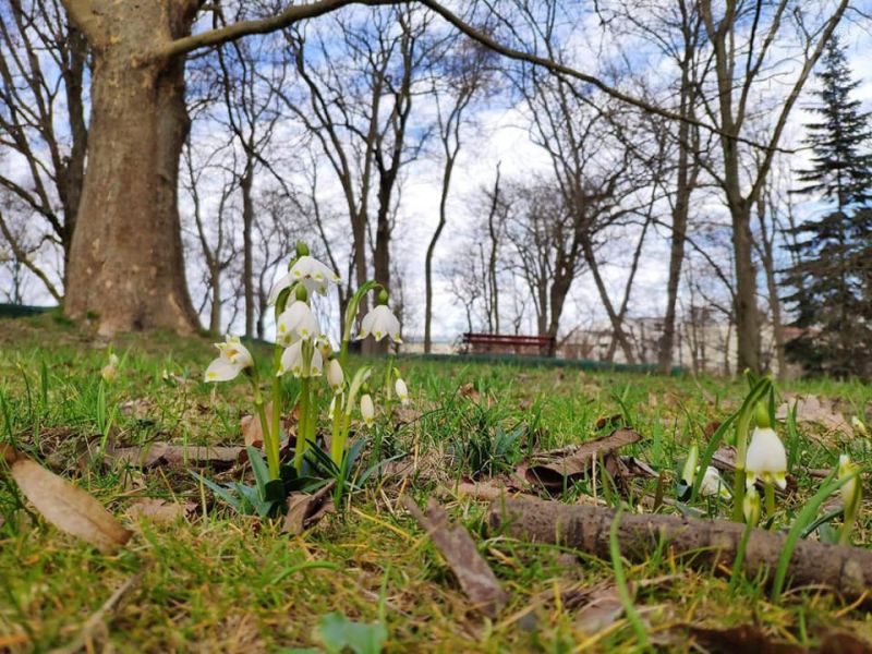 Miasto przygotowuje się do wiosny  - Zdjęcie główne