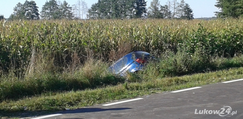 Wypadek w Wierzejkach. Wjechała w pole kukurydzy - Zdjęcie główne