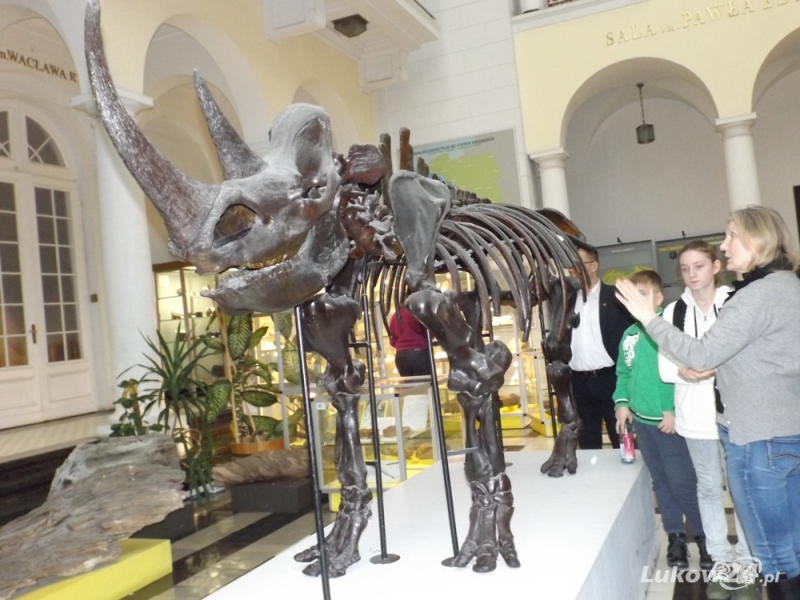 W Muzeum Geologicznym w nagrodę - Zdjęcie główne