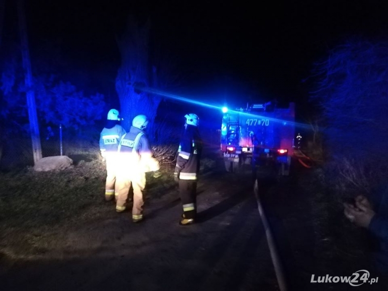 Płonęło drzewo. W pobliżu linie niskiego napięcia - Zdjęcie główne